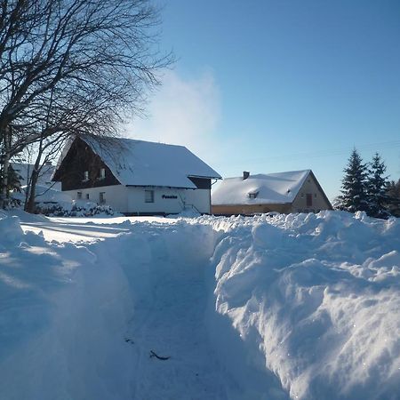 Pension Pugner Vysoké nad Jizerou Esterno foto