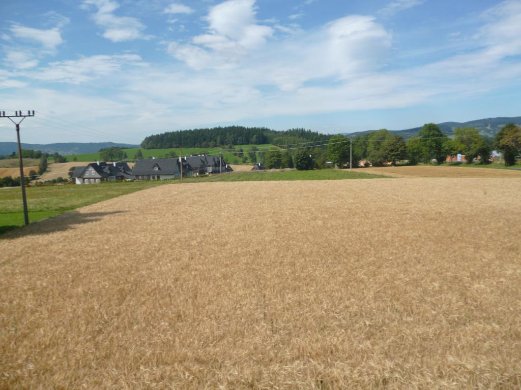 Pension Pugner Vysoké nad Jizerou Esterno foto