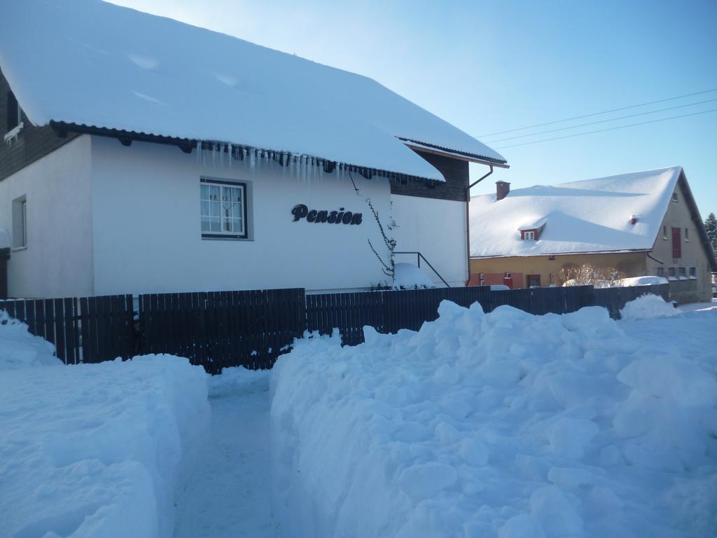 Pension Pugner Vysoké nad Jizerou Esterno foto