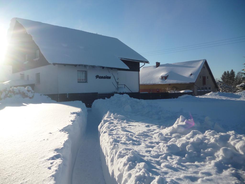 Pension Pugner Vysoké nad Jizerou Esterno foto